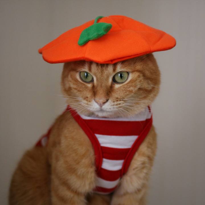 19f1ac3c a4c7 438e b791 ba18fc90c063