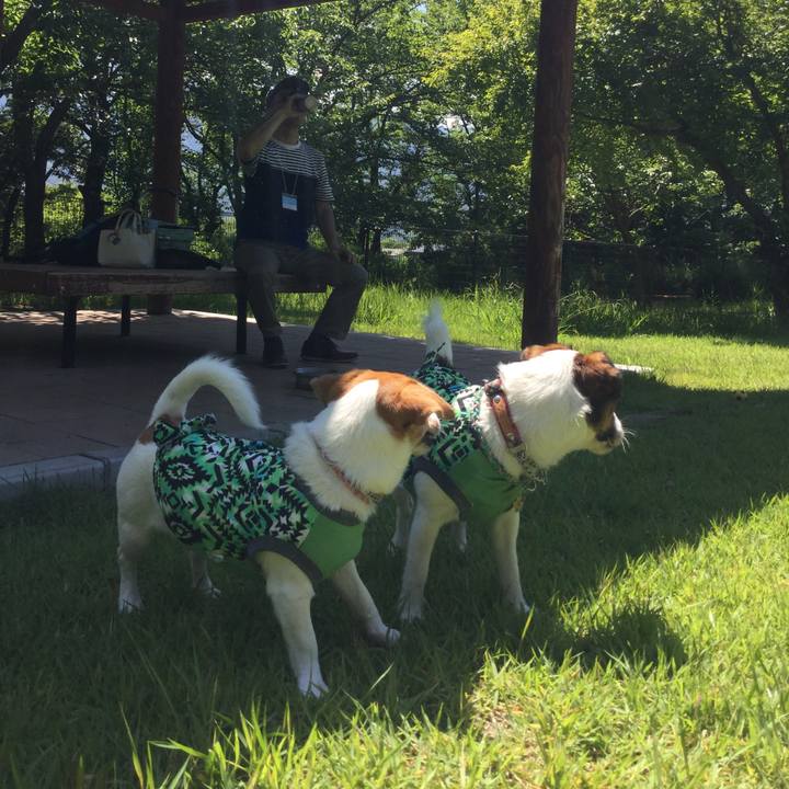 19f1d89e fb78 403f 888d 3b4641703cd8