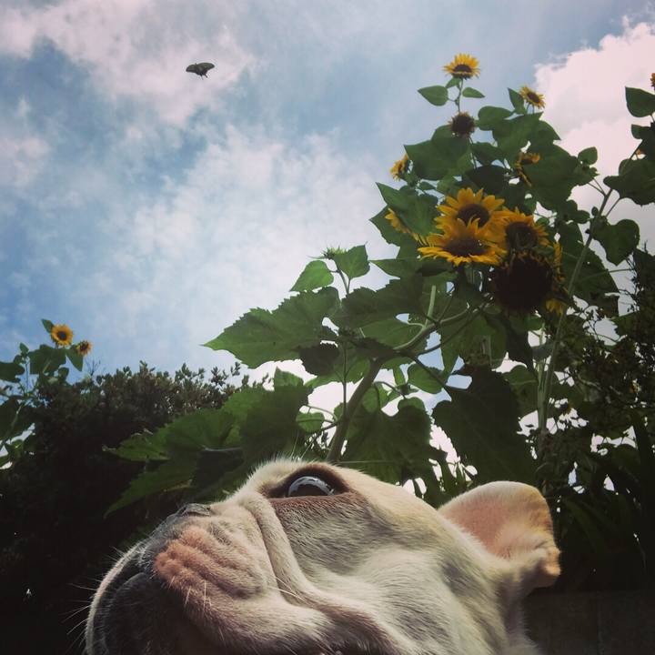 19f1f27b b5d2 4fdb 8508 466f48409a0e