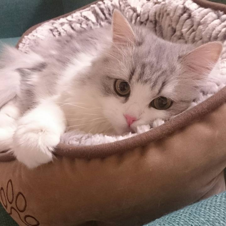 19f2acc3 5f15 4cd4 b65b e332de72477b