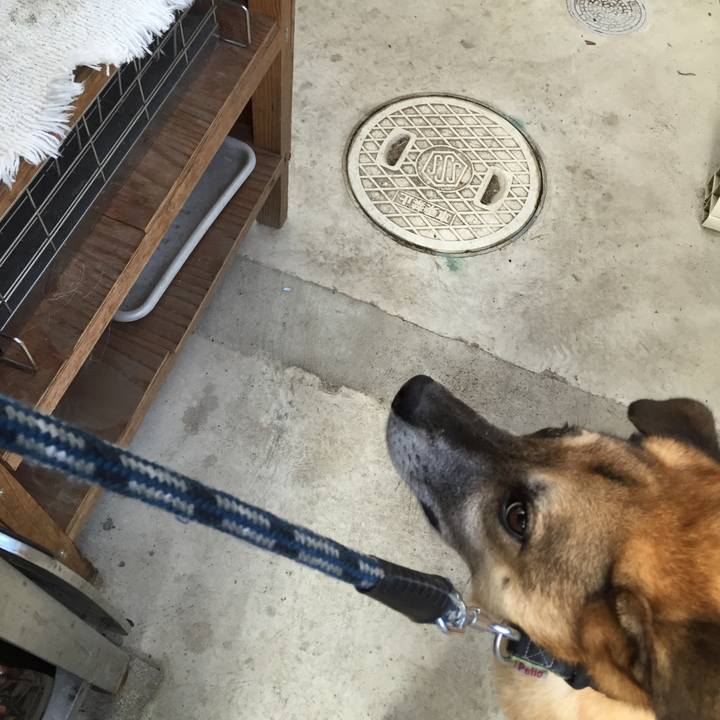 19f2e3f8 3b05 4db5 b022 5d7946499c81