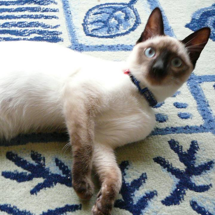 19f2f620 836c 4b4e b0e5 224a1d77a188