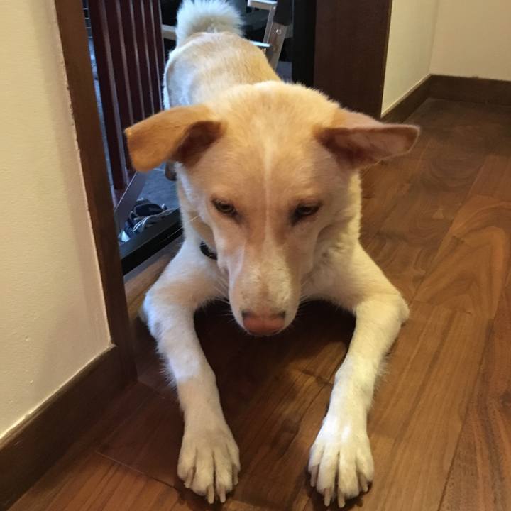 19f3052a dcb6 4900 acbf c8b188fffabb