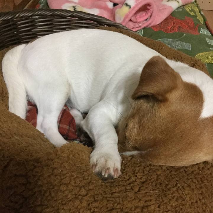 19f30679 26be 467b 93e8 47c76bab0111