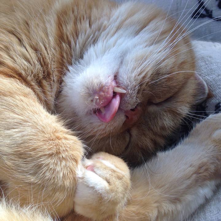 19f3c163 3f9a 447c b4a4 4c03db70b42b