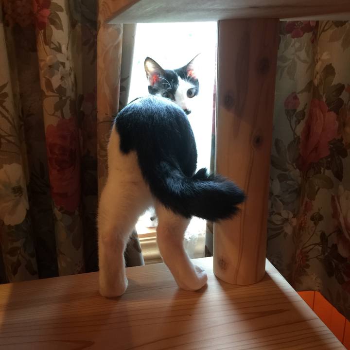 19f41162 6ffc 41dc bb02 3dcf05a50a6b