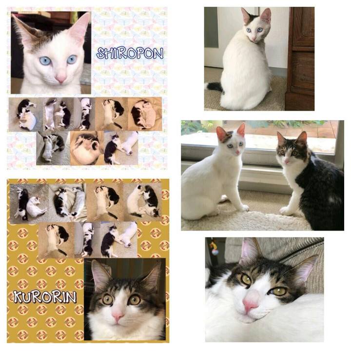 19f43cbe 6e15 4f5f 96e6 70abc20267fb