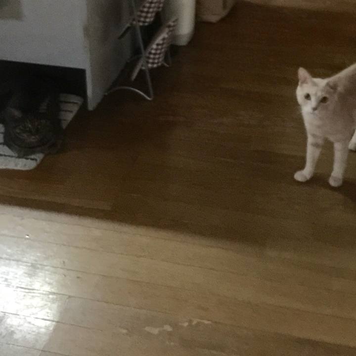 19f4d375 92cf 488a 95cf cb39f049bad2