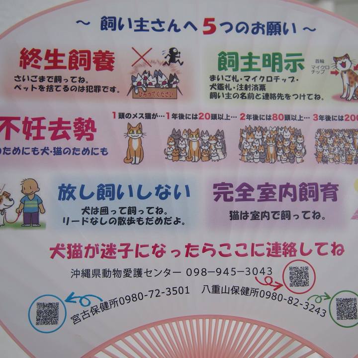 19f5107a 8aed 4895 aa28 b1fe18f3b23a