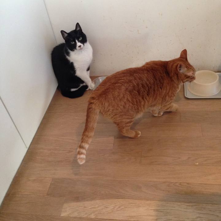 19f5aa09 d269 4015 9a5c 6a128af773b1