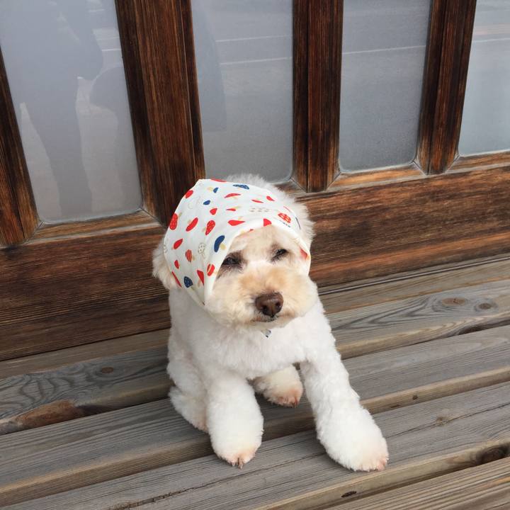 19f5f989 41d9 4e30 aaa5 0106b65ddeab