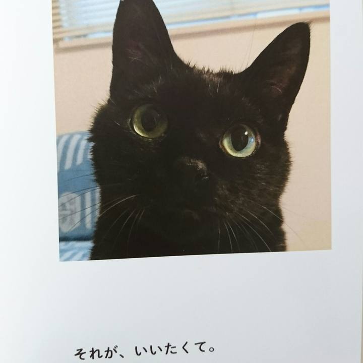 19f61e39 3283 4881 be48 0ad52a966d91