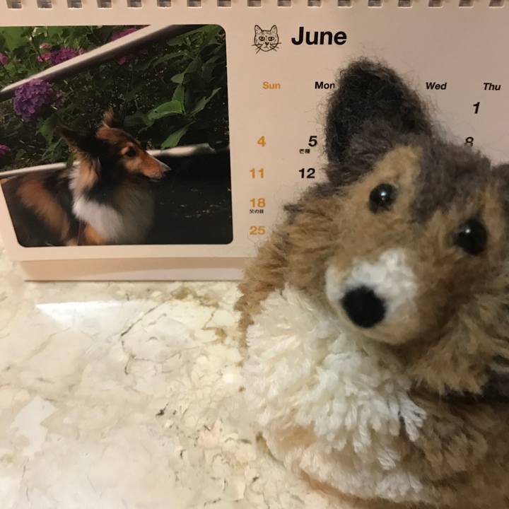 19f63777 bf60 4866 8a4f d41444d9230b