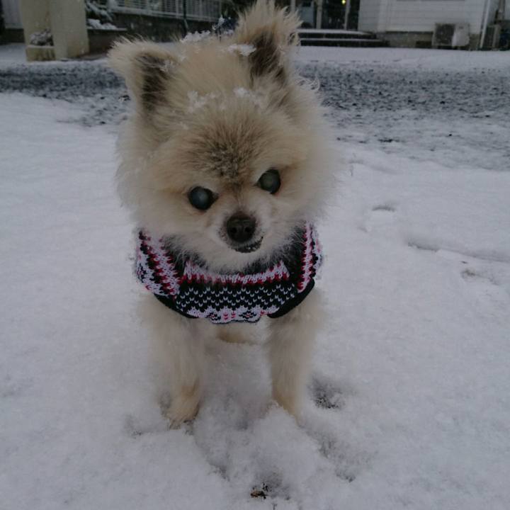 19f66f31 ad8c 42bf a540 6a3282a431fd