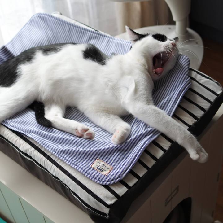 19f6acfc cfe3 4a64 84ae b306c5bb9b18