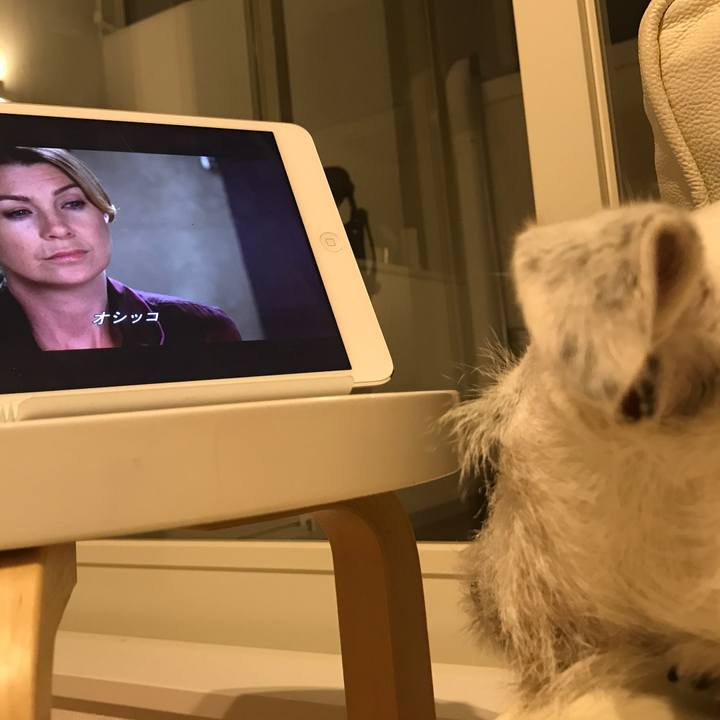 19f6c7b7 92ec 4991 b422 2efbfb171427