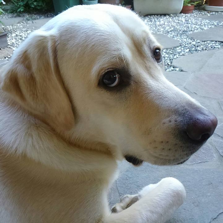 19f7376b ddd6 448e 906a 55110d13c15b