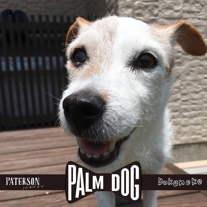 19f77f4d 98bb 451f 909e 3065eae52456