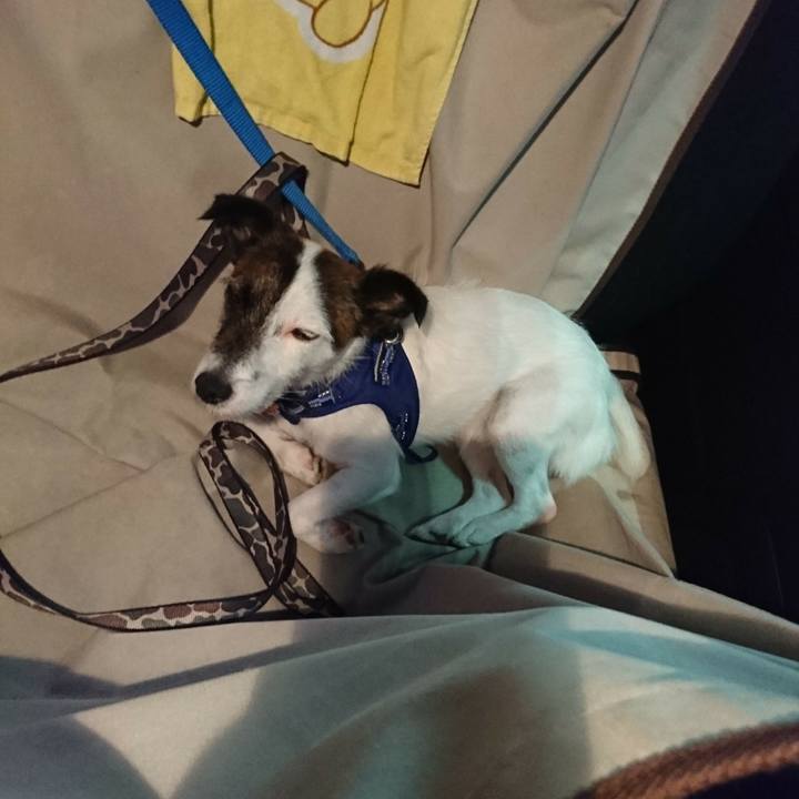 19f7e36e baa6 43dd 94d1 b92752c95738