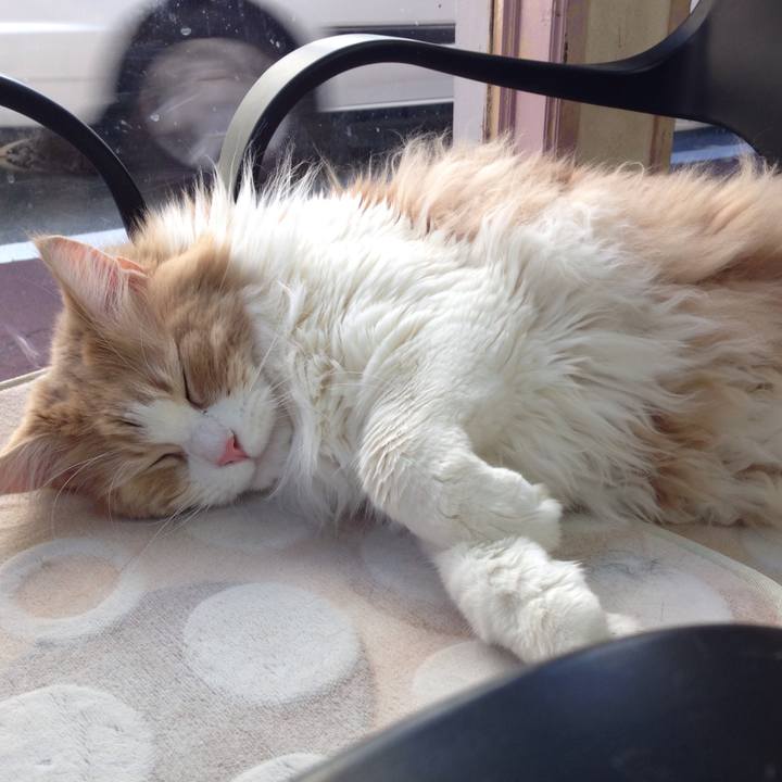 19f84648 a7ab 4494 9758 876bdd9bd8c6