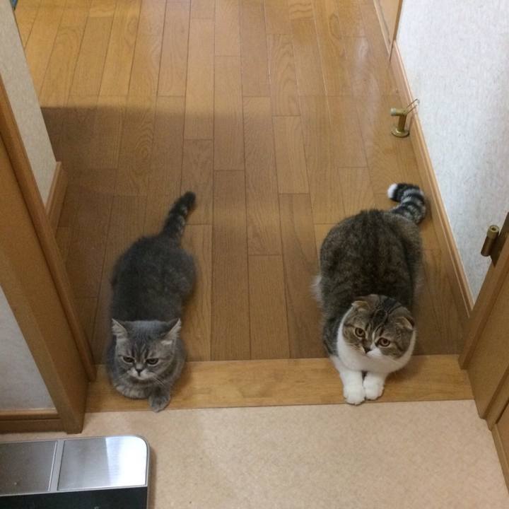 19f89915 e2bc 4541 8315 b2c3341043bd