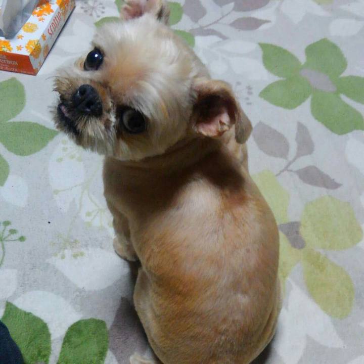 19f8e850 3ecf 4722 b878 b96279fe2281