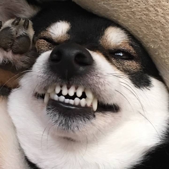 19f9c1e9 770b 46a1 9c2e 817dbe06448f