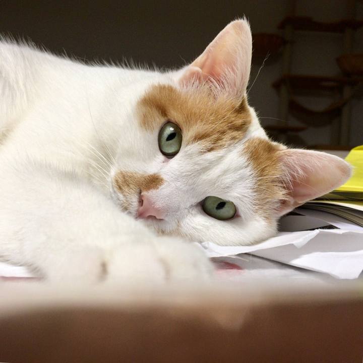 19fb63fb 2a61 4a76 b58f f1a8326fa9ef