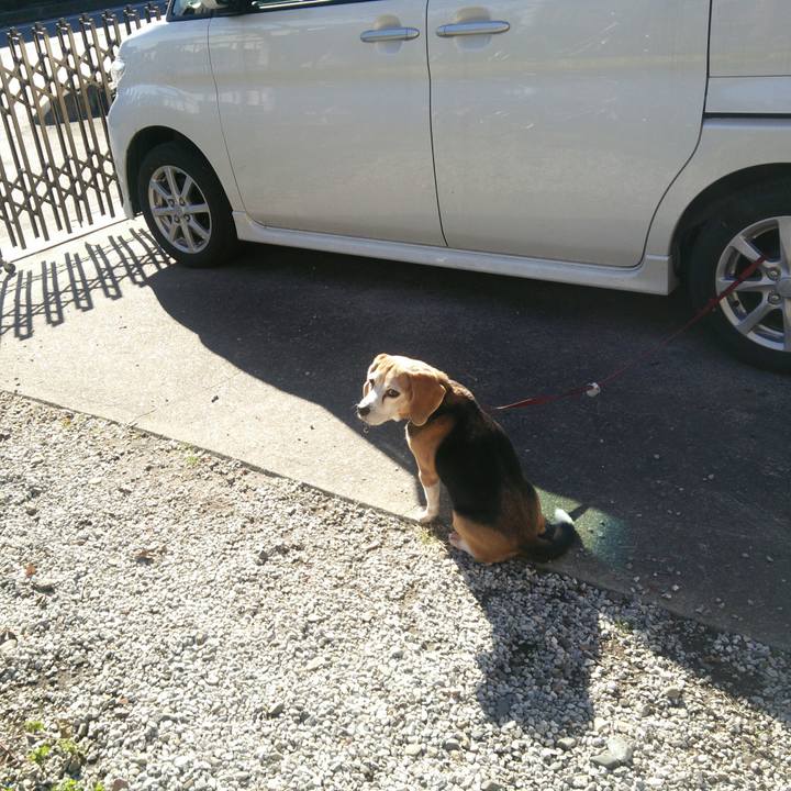 19fb9563 d6c7 4911 853b c9fb2b2e06d4