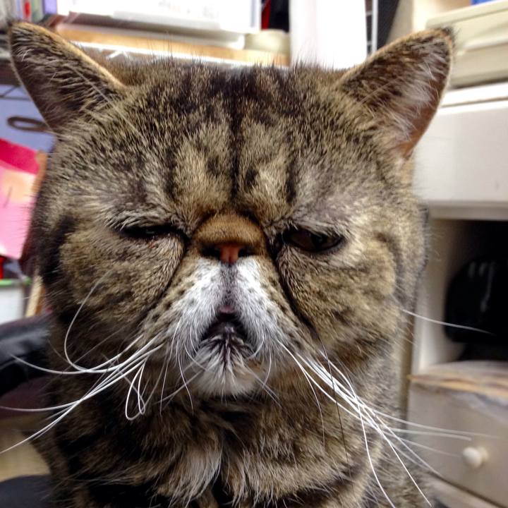 19fc15ff 48ac 46a4 a323 e42160a6ea4b