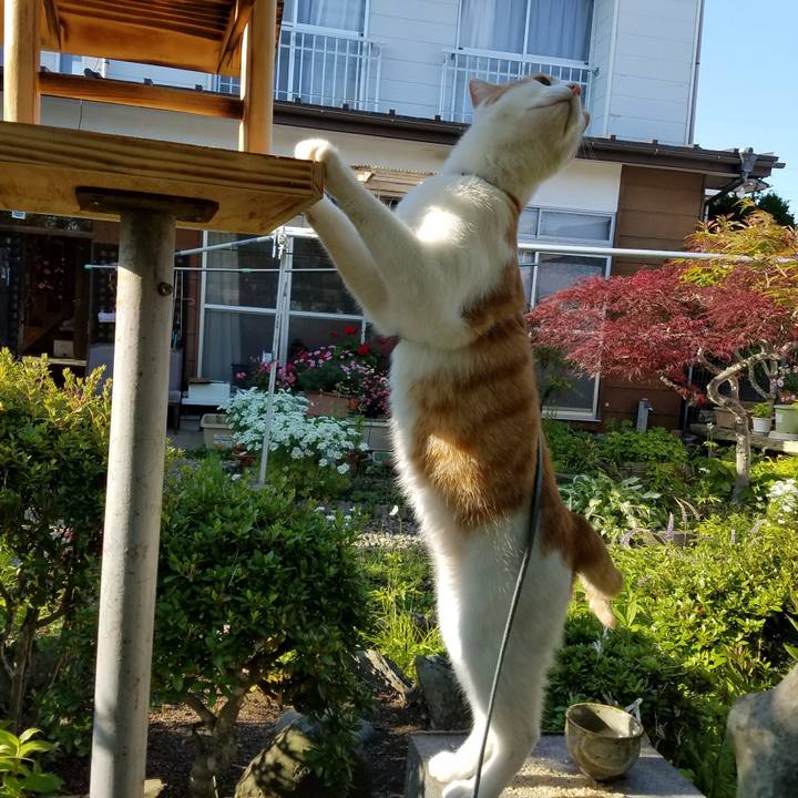 19fc8528 de88 4e14 a89b 7ebc6a9bd6b8