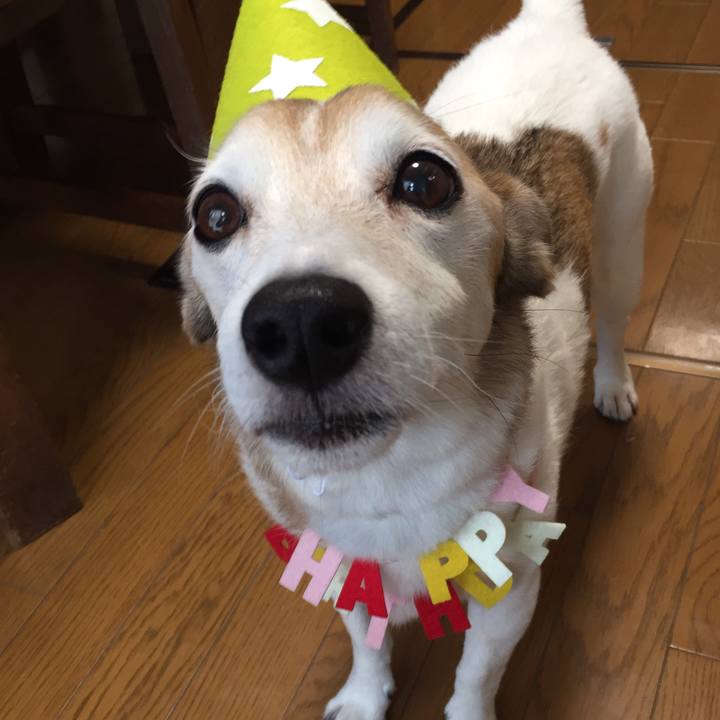 19fcd6c1 71ed 4c90 87b5 7a29956a7f4b