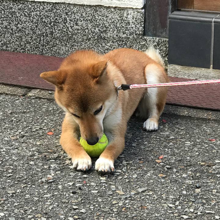 19fe0e37 0fb1 468e baa3 6b50dcda2376