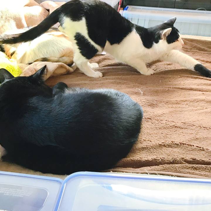 19fe1f82 43ca 4ede a6c2 a1d66a4cf8e5