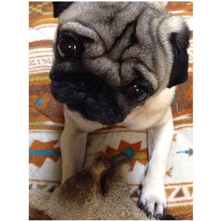 19fe5a9f 2257 4324 9314 bd3d47a43a98