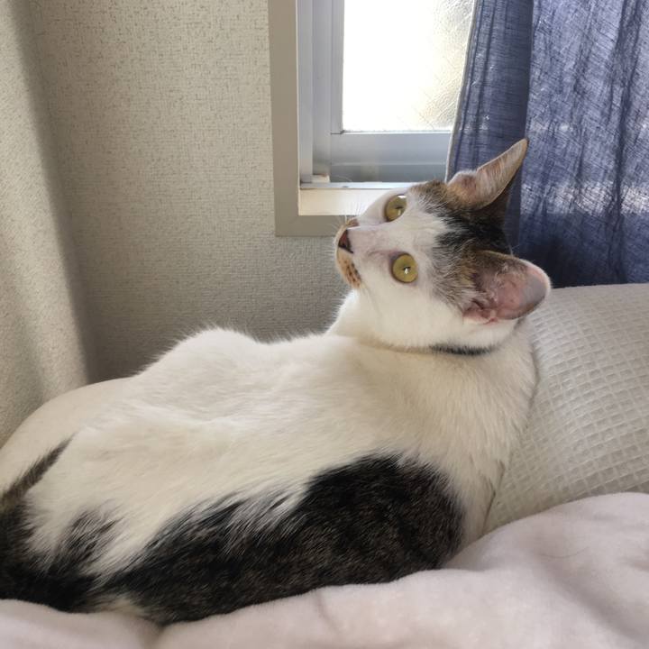 19febe80 4bd4 4143 b247 1536f091962a