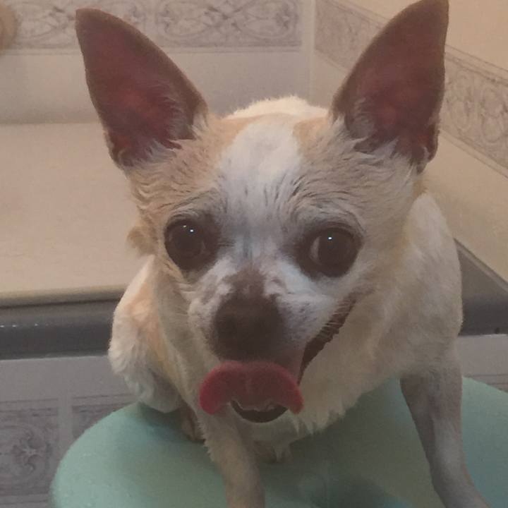 19fee868 5d40 4006 9e31 a55d56d1ac1a