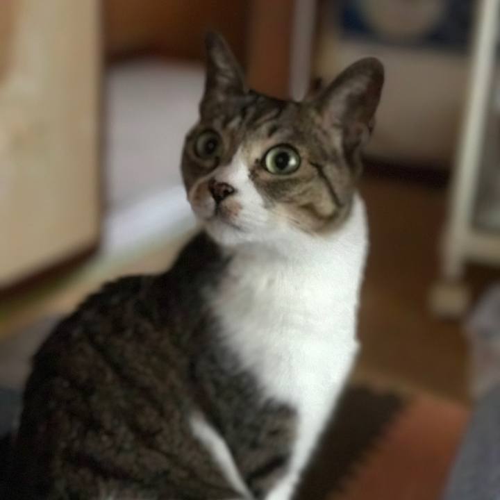 19ff596e 4cf5 4dc9 a5ac 8ca2ee094af6