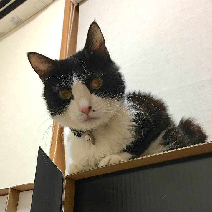 19ff5ff9 6e20 4918 a2be 9ffd58a7a6ff