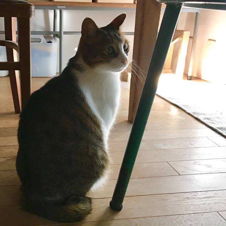 19ffeeed de3a 4f14 bbf3 9a514dfd0bbf