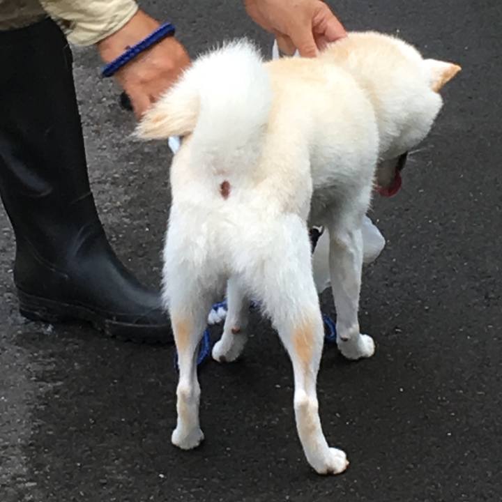 1a010f3d 7698 4ff5 a9e6 0a942b4f93c9