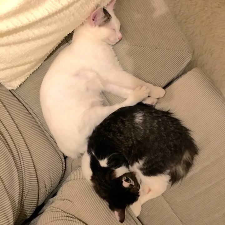 1a015afc 81bd 4429 8950 93ca8a6db866