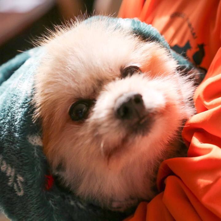 1a016922 2ce9 4d4f a84f 1c81904fe95d