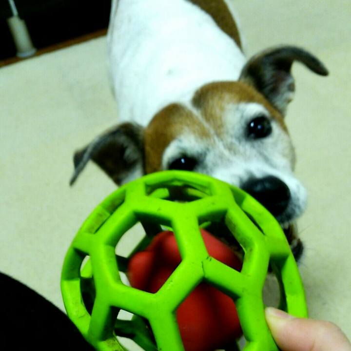 1a018e3f 15f8 4693 992c ccd74c3d34a9