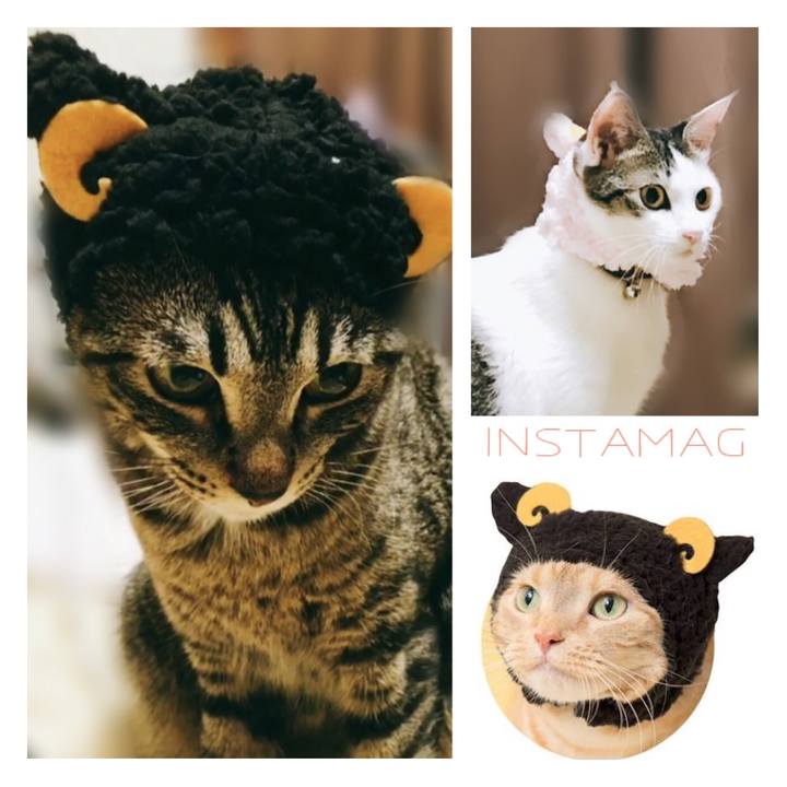 1a01a98e d798 4aa1 9c37 c10d7bcda5fe