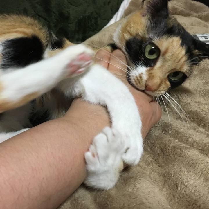 1a020ebe 251b 43d4 81ca 1861f57dbfe0