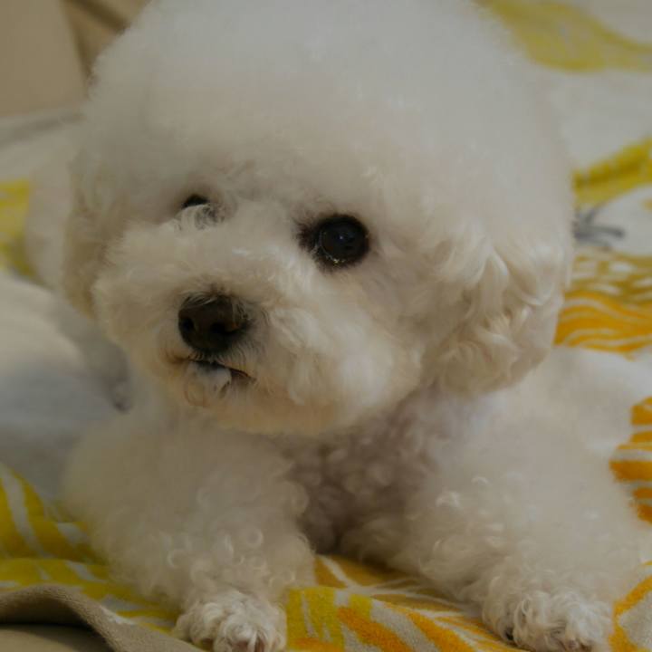 1a024618 a772 4f3d 8b3c 2b4efb706776