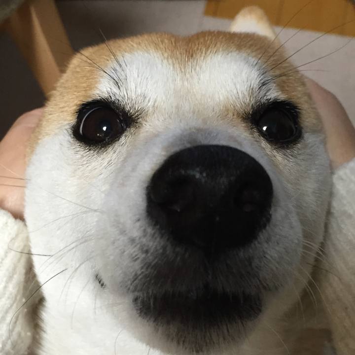 1a02b30d 3cb5 4099 8182 0aeefb749e9e