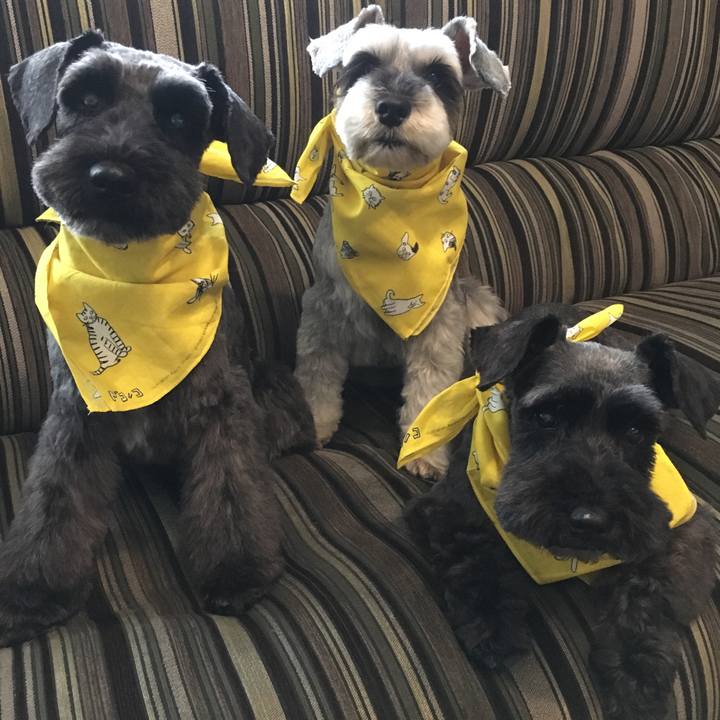 1a02e3af 86f1 445c 93ee 2c31fffbcf63