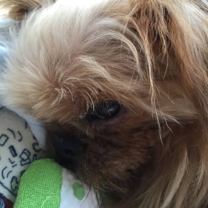 1a0302eb 8034 412f aee9 19da1772d5ff